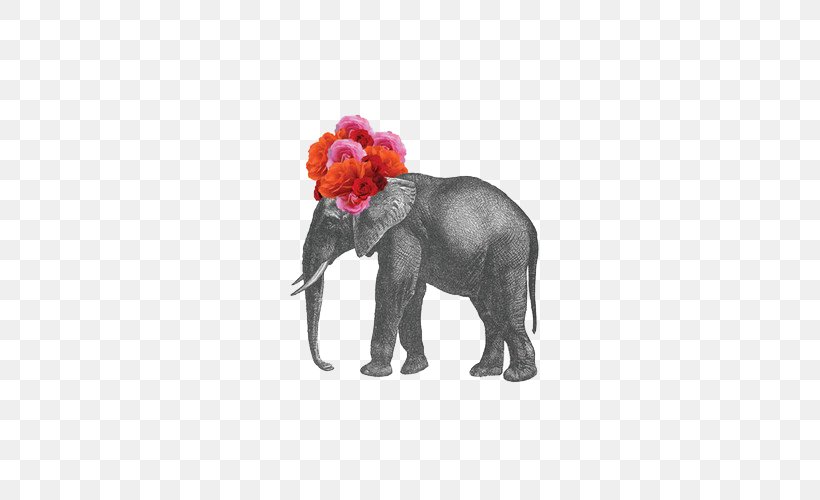 Flower Elephant Floral Design, PNG, 500x500px, Flower, African Elephant, Art, Child, Drawing Download Free