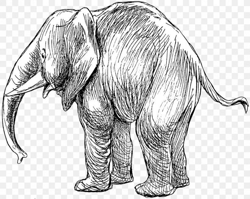 Indian Elephant African Elephant Drawing Cetacea Sketch, PNG, 877x700px, Indian Elephant, African Elephant, Animal, Animal Figure, Black And White Download Free