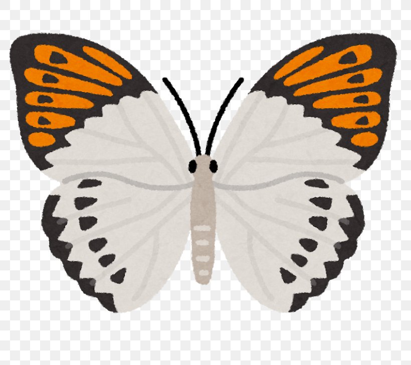 Monarch Butterfly Illustration Image Photograph Shutterstock, PNG, 800x729px, Monarch Butterfly, Arthropod, Brush Footed Butterfly, Butterfly, Insect Download Free