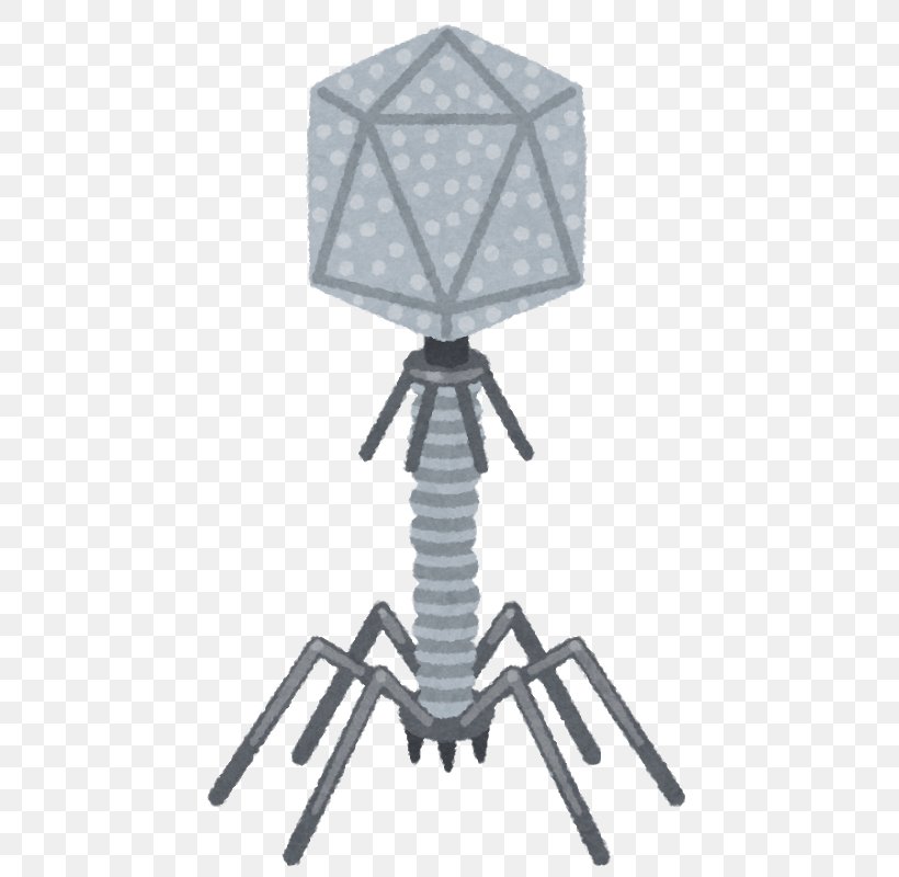 Bacteriophage いらすとや Bacteria バーチャルyoutuber Png 622x800px Bacteriophage Animal Bacteria Bacteriocin Black Download Free