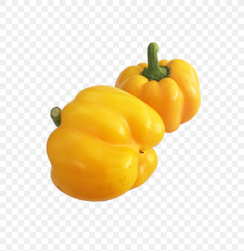 Bell Pepper Habanero Yellow Pepper, PNG, 964x992px, Bell Pepper, Auglis, Bell Peppers And Chili Peppers, Black Pepper, Calabaza Download Free