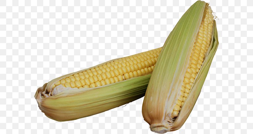 Corn On The Cob Sweet Corn Maize Cereal Fastiv, PNG, 600x436px, Corn On The Cob, Cereal, Commodity, Depositfiles, Food Download Free