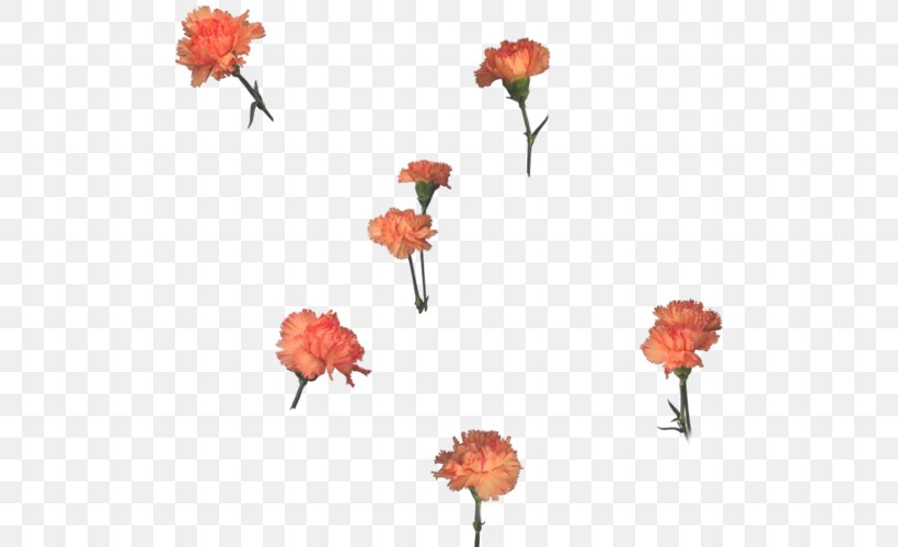 Garden Roses DJ Spice T Deep Session (Part 2) Floral Design Flower, PNG, 500x500px, Garden Roses, Artificial Flower, Cut Flowers, Flora, Floral Design Download Free