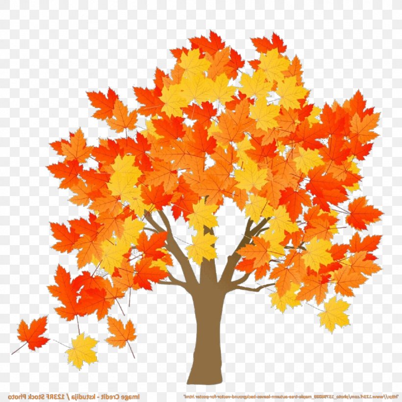 Orange, PNG, 1024x1024px, Cartoon, Autumn, Black Maple, Deciduous, Leaf Download Free