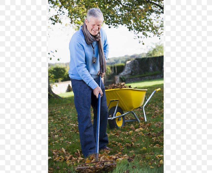 Stock Photography Royalty-free Senior Man, PNG, 520x670px, Stock Photography, Garden, Gardener, Grass, Lawn Download Free