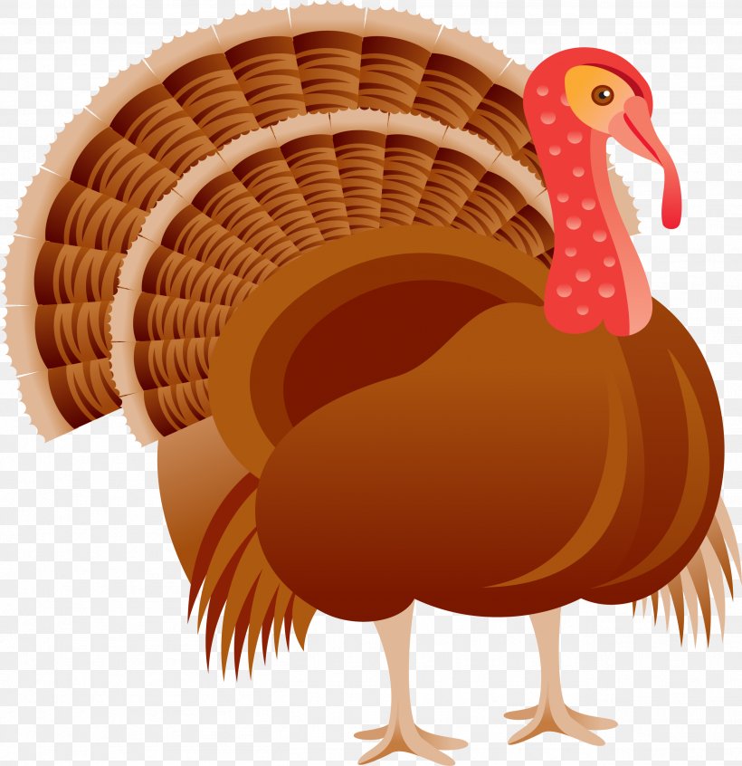 Thanksgiving Greeting Card Holiday Pattern, PNG, 2611x2696px, Thanksgiving, Beak, Bird, Cartoon, Chicken Download Free