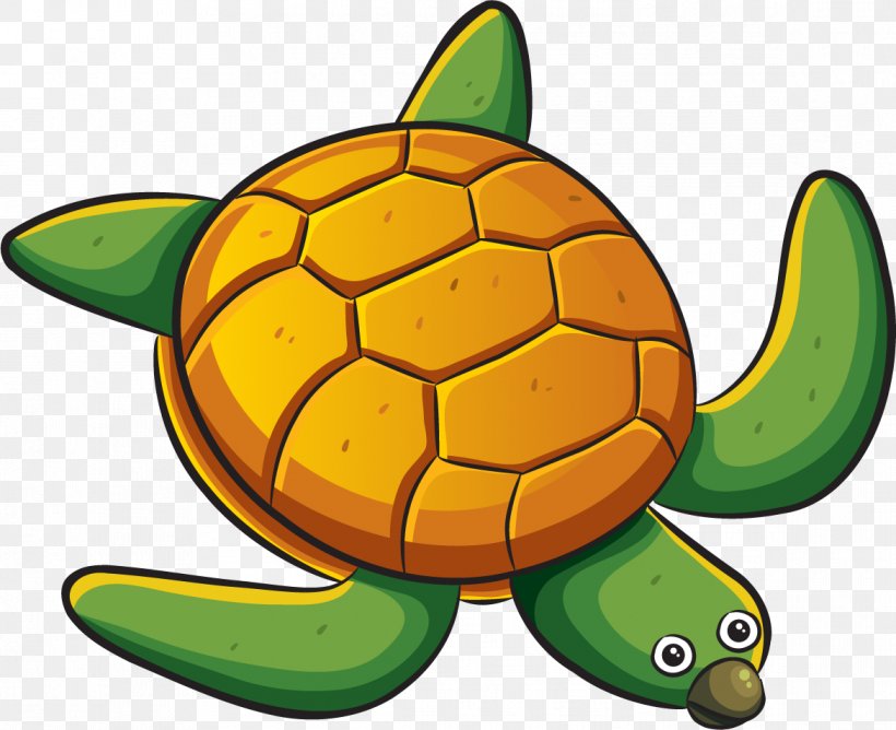 Sea Turtle Marine Biology, PNG, 1169x953px, Turtle, Animal, Cartoon, Drawing, Marine Biology Download Free