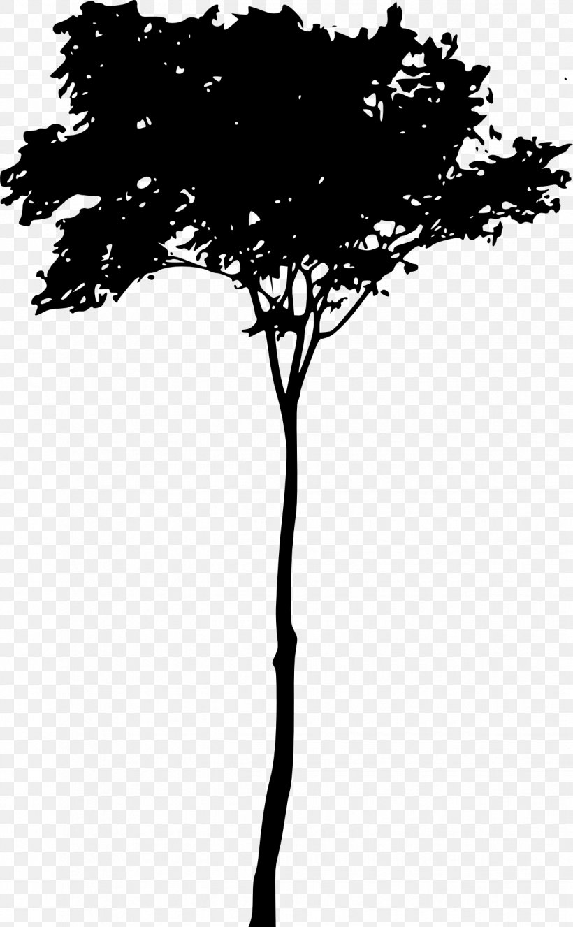 Tree Woody Plant Twig Silhouette, PNG, 1235x2000px, Tree, Black And White, Branch, Leaf, Monochrome Download Free