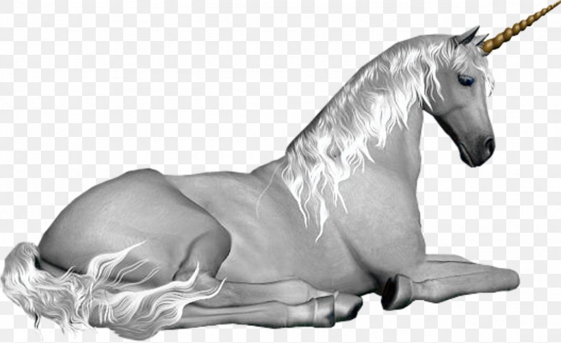 Unicorn Mythology Fairy Pegasus Legendary Creature, PNG, 2546x1558px, Unicorn, Black And White, Bouc, Duende, Fairy Download Free