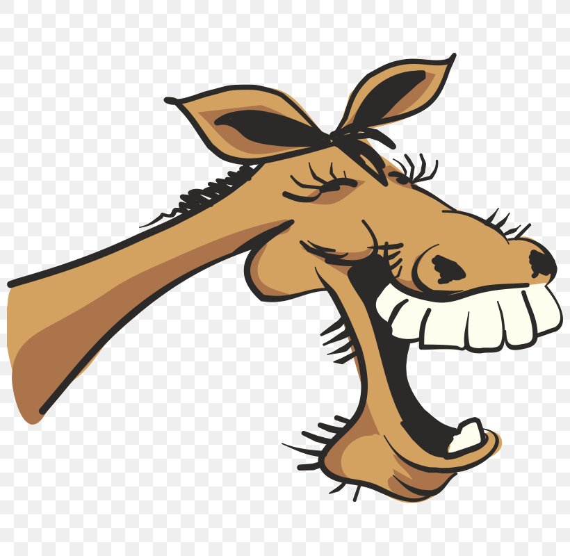 Clip Art Laughter Image Humour Horse, PNG, 800x800px, Laughter, Artwork, Carnivoran, Cartoon, Fictional Character Download Free