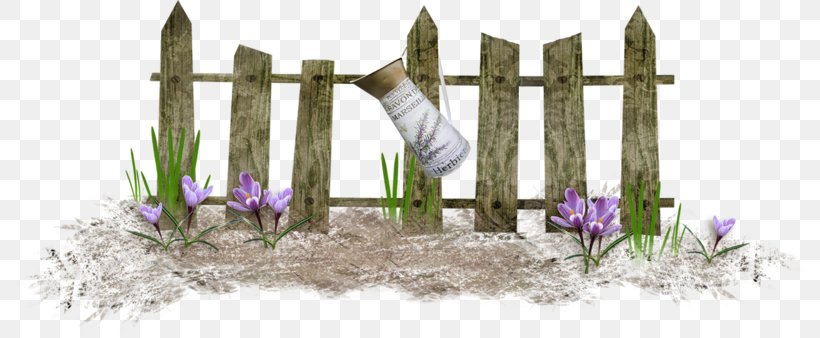 Fences Download Clip Art, PNG, 800x338px, Fences, Cut Flowers, Display Resolution, Dots Per Inch, Fence Download Free