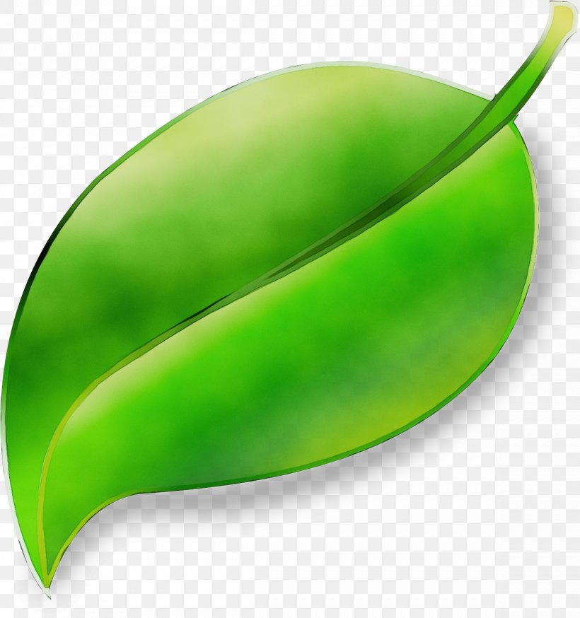 Green Leaf Plant Legume Vegetable, PNG, 1189x1268px, Watercolor, Fruit, Green, Leaf, Legume Download Free