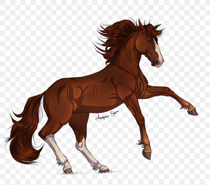 Mane Mustang Foal Stallion Colt, PNG, 1024x904px, Mane, Bridle, Cartoon, Character, Colt Download Free
