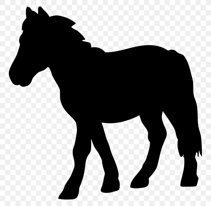 Mustang Mule Vector Graphics Foal Pony, PNG, 801x800px, Mustang, Animal Figure, Blackandwhite, Colt, Connemara Pony Download Free