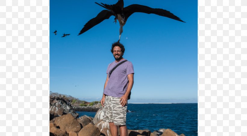 North Seymour Island Galápagos Islands Caribbean Tourism, PNG, 1024x566px, Island, Beach, Bird, Caribbean, Fishing Download Free