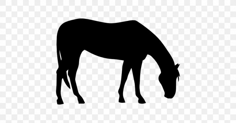 American Quarter Horse American Paint Horse Colt Silhouette Clip Art, PNG, 1200x630px, American Quarter Horse, American Paint Horse, Animal, Black And White, Bridle Download Free