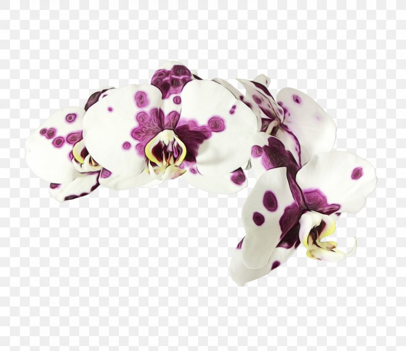 Violet Fashion Accessory Jewellery Flower Moth Orchid, PNG, 1600x1386px, Watercolor, Brooch, Fashion Accessory, Flower, Gemstone Download Free