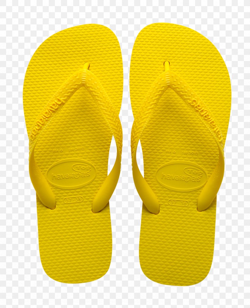 Flip-flops Shoe, PNG, 845x1041px, 2013, 2014, 2015, Flipflops, December Download Free