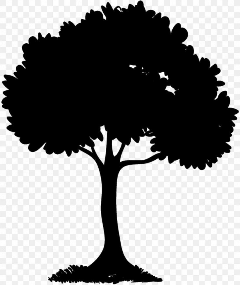 Tree Branch Silhouette, PNG, 1818x2159px, Tree, Art, Blackandwhite, Botany, Branch Download Free