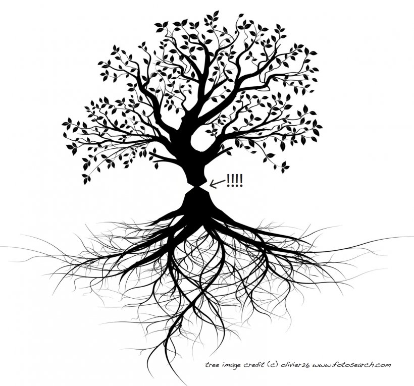 Tree Root Trunk, PNG, 1591x1486px, Tree, Black And White, Branch, Drawing, Flora Download Free
