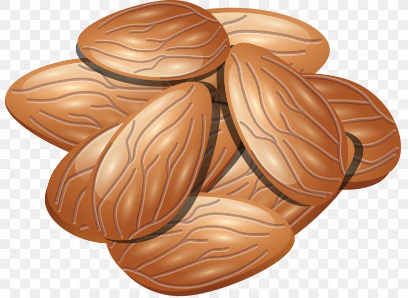 Walnut Nuts Clip Art, PNG, 5140x3755px, Walnut, Acorn, Cedar, Commodity, Directory Download Free