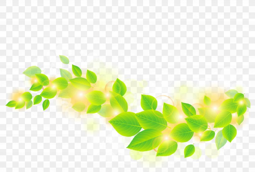 Leaf Green, PNG, 10483x7083px, Leaf, Branch, Cdr, Graphic Arts, Grass Download Free