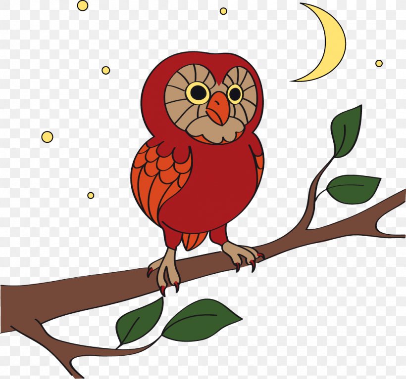 Owl Bird Cartoon, PNG, 1043x976px, Owl, Animation, Art, Beak, Bird Download Free
