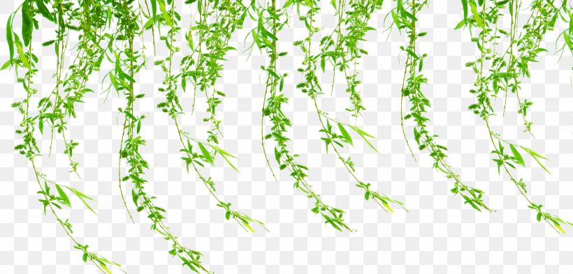 Poster, PNG, 2229x1069px, Poster, Banner, Branch, Flower, Grass Download Free