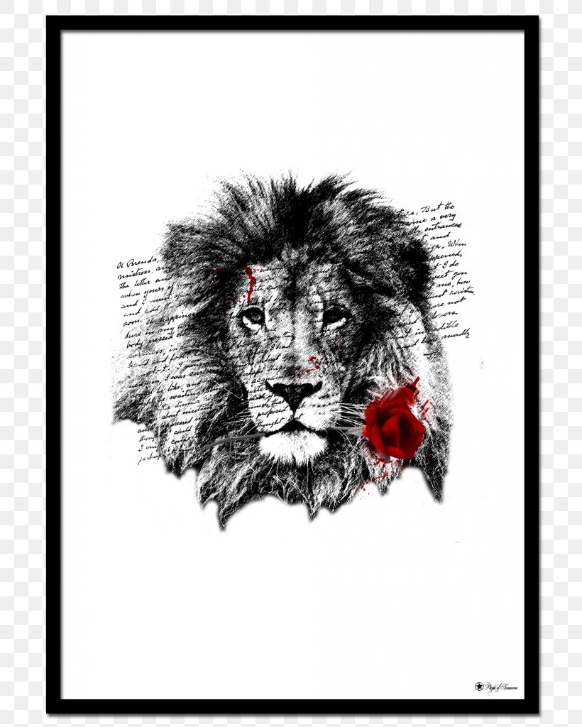 T-shirt Lion Wildlife Greeting & Note Cards Crew Neck, PNG, 779x1024px, Tshirt, Animal, Big Cats, Black And White, Carnivoran Download Free