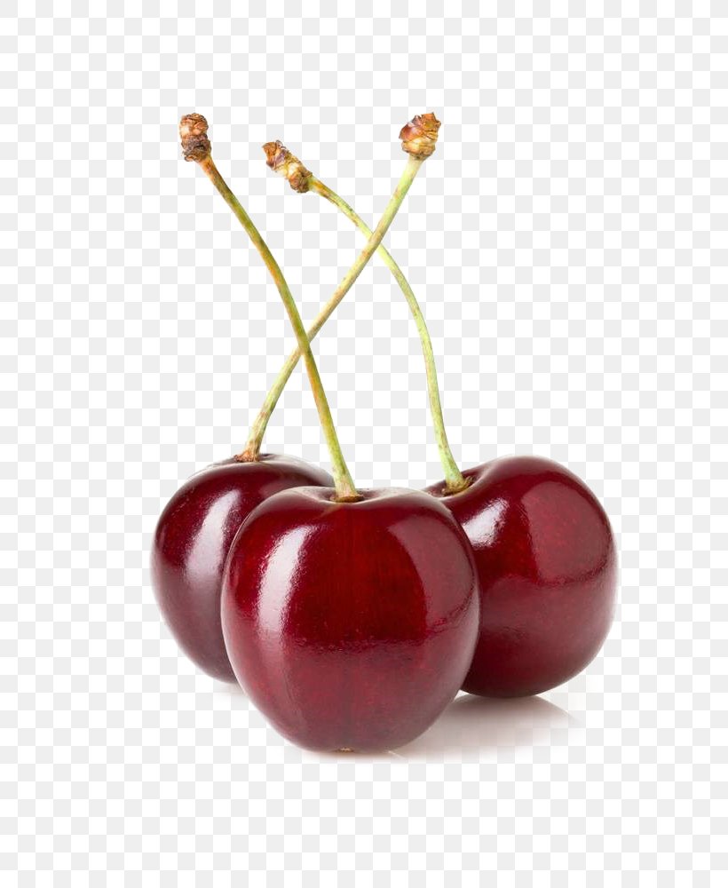 Cherry Cerasus Vitamin, PNG, 737x1000px, Cherry, Berry, Cerasus, Cherry Blossom, Food Download Free