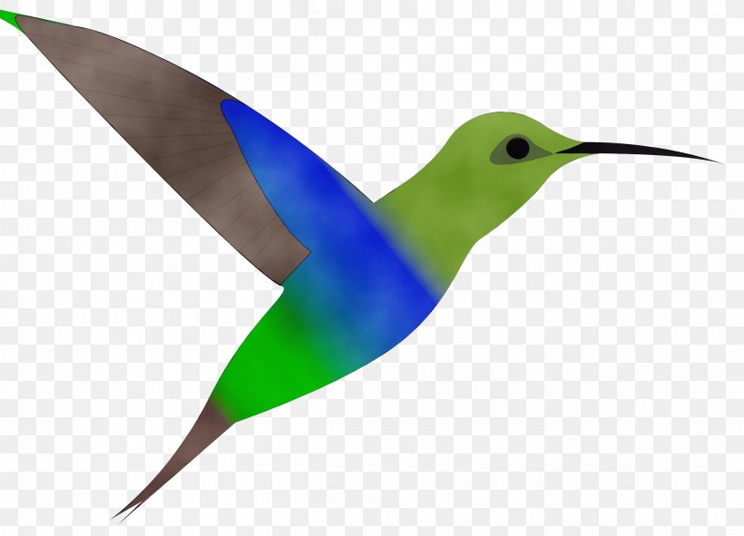 Hummingbird, PNG, 2400x1731px, Watercolor, Beak, Bird, Hummingbird, Paint Download Free