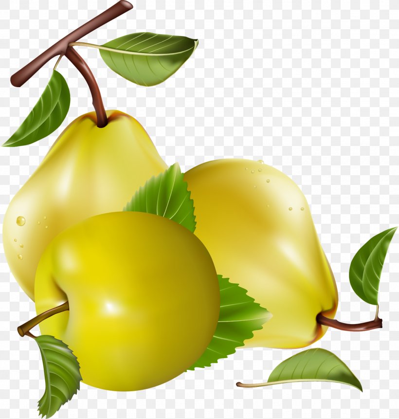 Juice Fruit Clip Art, PNG, 1427x1500px, Juice, Apple, Banana, Blog, Citrus Download Free