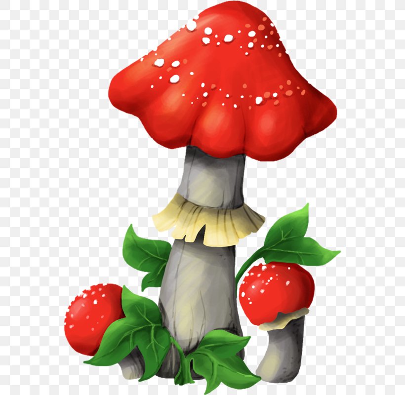 Mushroom Fungus Clip Art, PNG, 564x800px, Mushroom, Boletus, Boletus Edulis, Cartoon, Common Mushroom Download Free