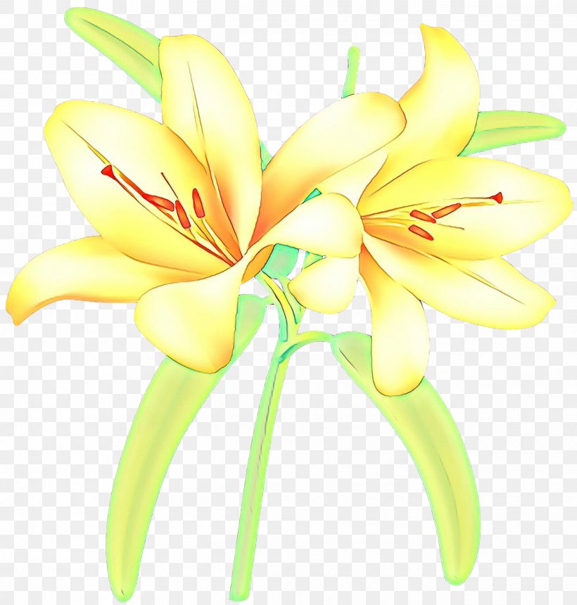 Floristry Cut Flowers Jersey Lily Plant Stem Daylily, PNG, 2535x2661px, Floristry, Amaryllis, Amaryllis Family, Belladonna, Botany Download Free