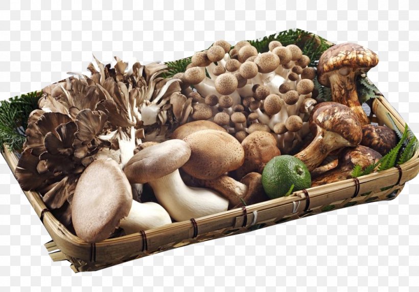 Fungus Mushroom Vegetable Food Shiitake, PNG, 1000x697px, Fungus, Cooking, Eating, Edible Mushroom, Enokitake Download Free