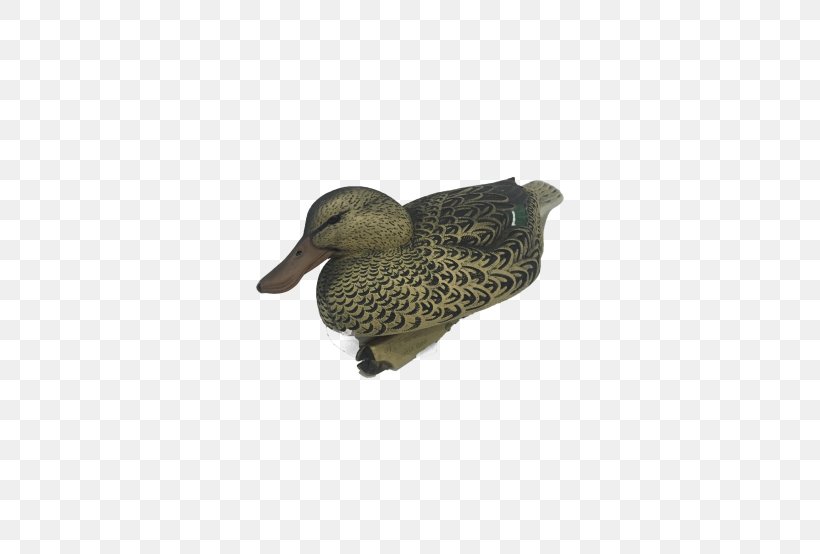 Mallard Duck Beak, PNG, 500x554px, Mallard, Beak, Bird, Duck, Ducks Geese And Swans Download Free