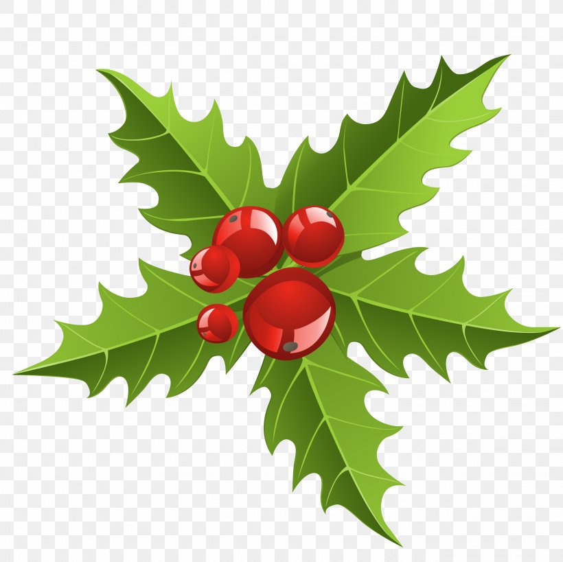 Christmas Decoration Mistletoe Clip Art, PNG, 2644x2644px, Christmas, Aquifoliaceae, Aquifoliales, Berry, Christmas Decoration Download Free