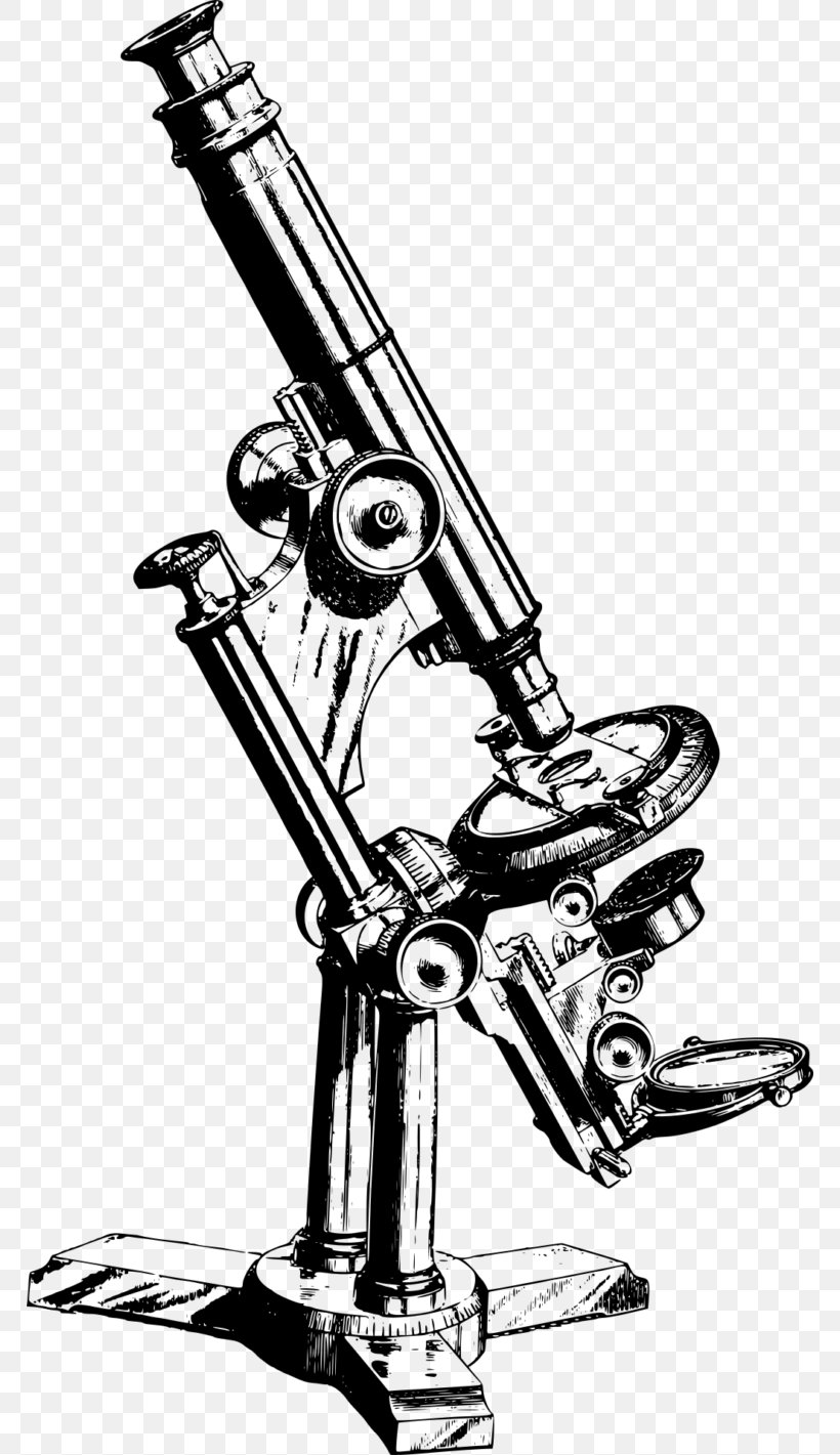Optical Microscope Drawing Clip Art, PNG, 768x1421px, Microscope, Art, Auto Part, Black And White, Brass Instrument Download Free