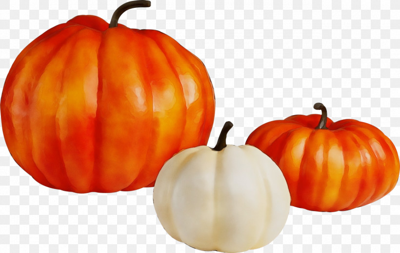 Pumpkin, PNG, 1280x810px, Watercolor, Calabaza, Cucurbita, Food, Fruit Download Free