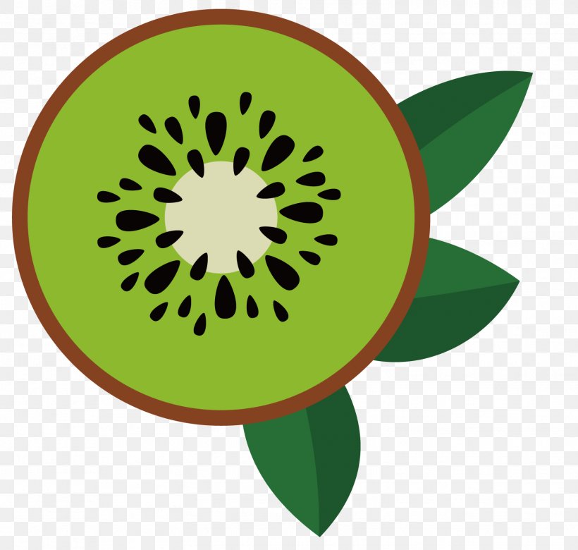 Real Estate Institute Of New South Wales (REINSW) Kiwifruit Sales, PNG, 1551x1476px, Real Estate, Business, Estate Agent, Flower, Food Download Free