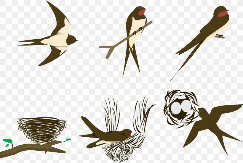 Swallow Bird Euclidean Vector, PNG, 1332x896px, Swallow, Beak, Bird, Bird Nest, Fauna Download Free