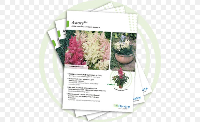 Floral Design Herb, PNG, 500x500px, Floral Design, Flower, Flower Arranging, Herb, Plant Download Free