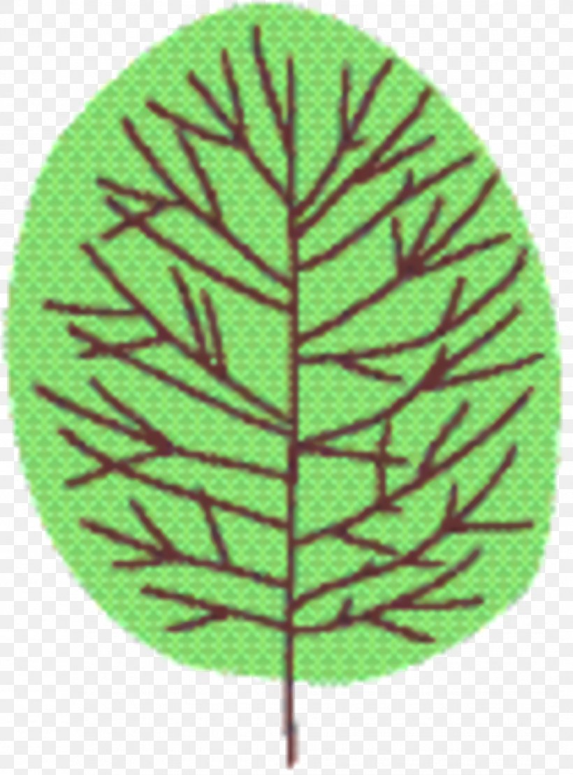 Green Leaf Background, PNG, 1070x1448px, Leaf, Green, Plant, Tree, Vascular Plant Download Free