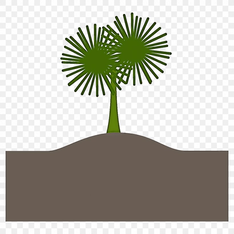 Palm Tree, PNG, 1200x1200px, Tree, Arecales, Green, Leaf, Palm Tree Download Free