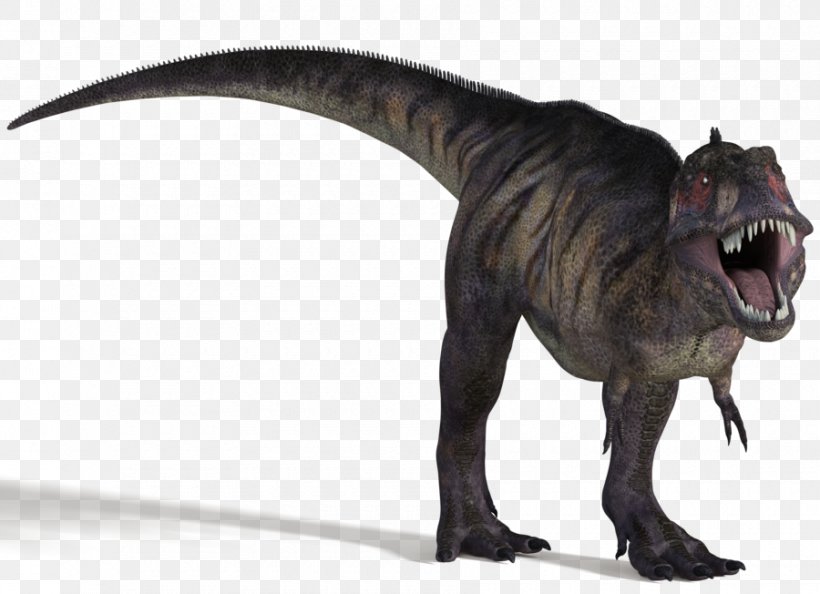 Tyrannosaurus Majungasaurus Apatosaurus Spinosaurus Dinosaur, PNG, 900x652px, Tyrannosaurus, Animal, Apatosaurus, Cretaceous, Dinosaur Download Free