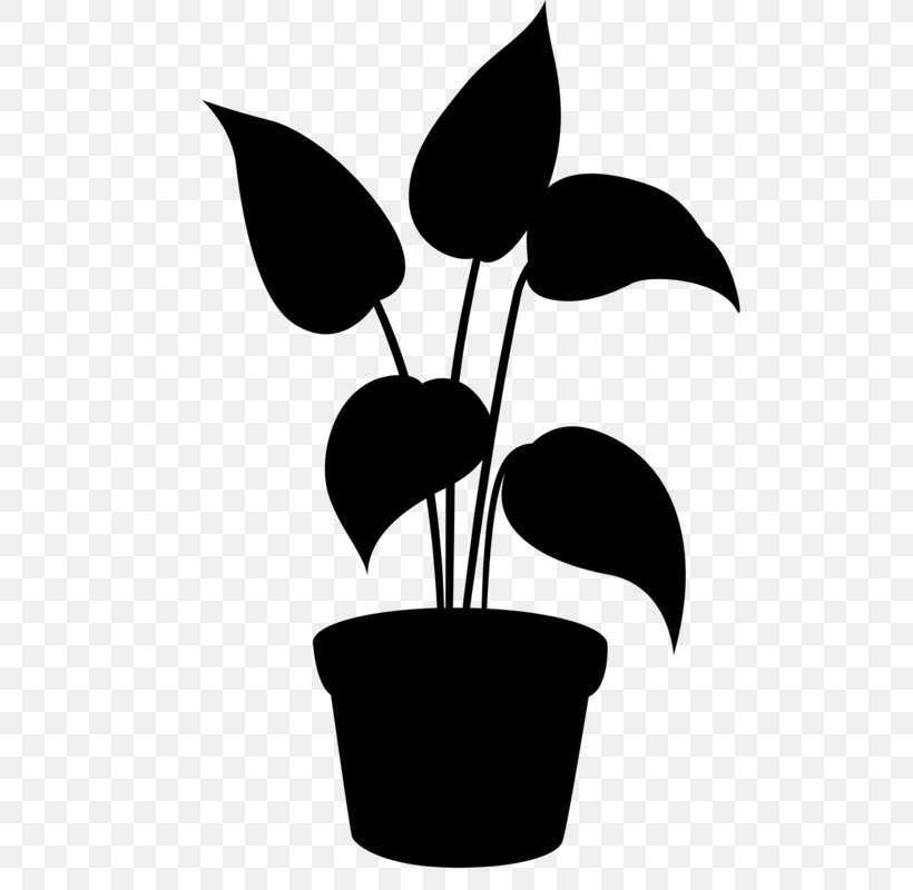 Clip Art Flower Plant Stem Leaf Silhouette, PNG, 515x800px, Flower, Alismatales, Anthurium, Arum Family, Blackandwhite Download Free