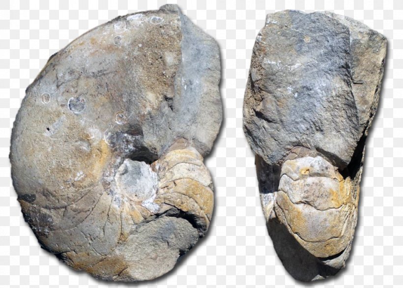Mineral Stone Tool Artifact, PNG, 950x679px, Mineral, Artifact, Fossil, Fossil Group, Rock Download Free