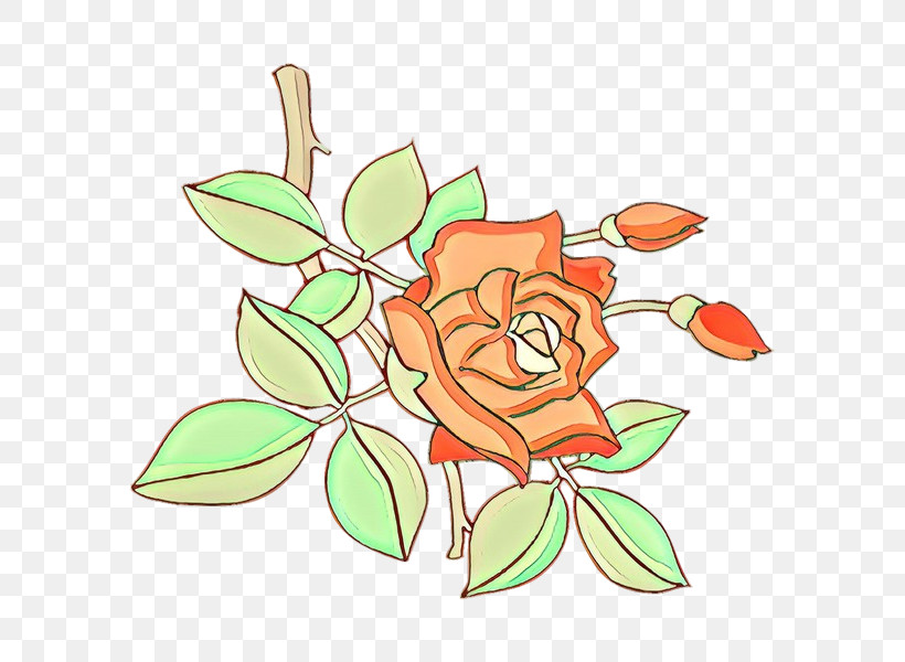 Rose, PNG, 600x600px, Flower, Cut Flowers, Magnolia, Petal, Plant Download Free