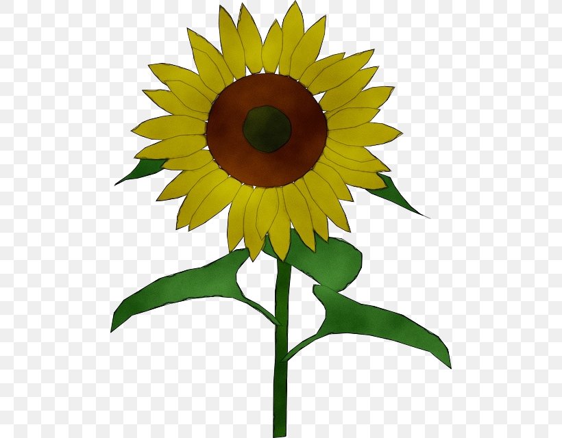 Sunflower, PNG, 498x640px, Watercolor, Flower, Flowering Plant, Paint, Petal Download Free