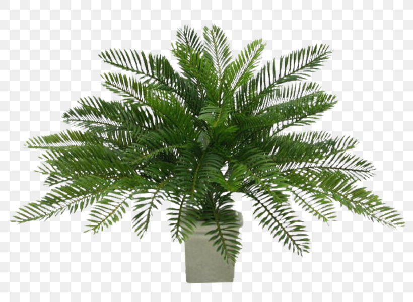 Artificial Flower Floristry Flower Bouquet Plants, PNG, 800x600px, Artificial Flower, Arecales, Date Palm, Elaeis, Evergreen Download Free